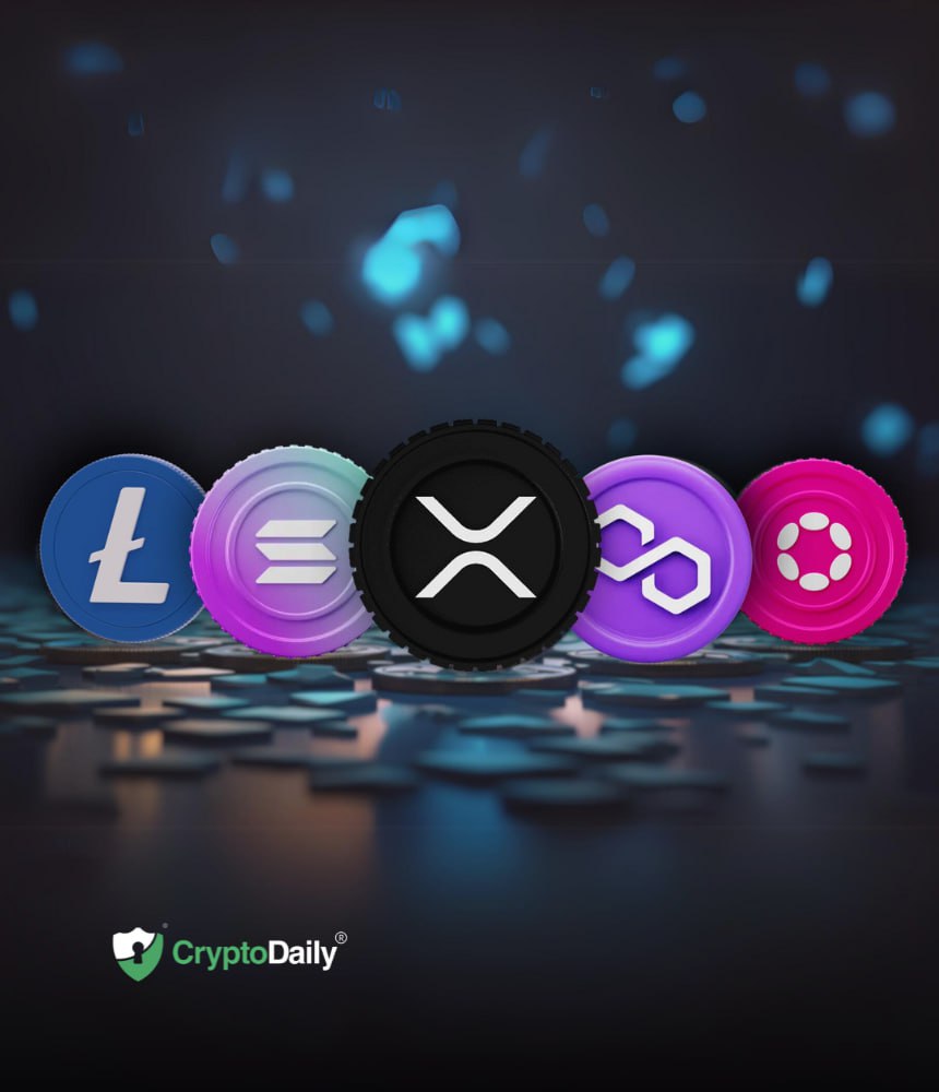 Litecoin (LTC), Polygon (MATIC), Ripple (XRP), Chainlink (LINK), and Polkadot (DOT) - Top Crypto Picks In Rising Market. Which Will Give Most X?
