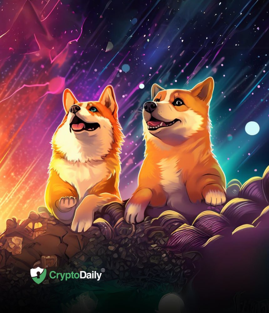 Will Dogecoin (DOGE) and Shiba Inu (SHIB) Surpass Expectations with a Pre-2024 Rally?
