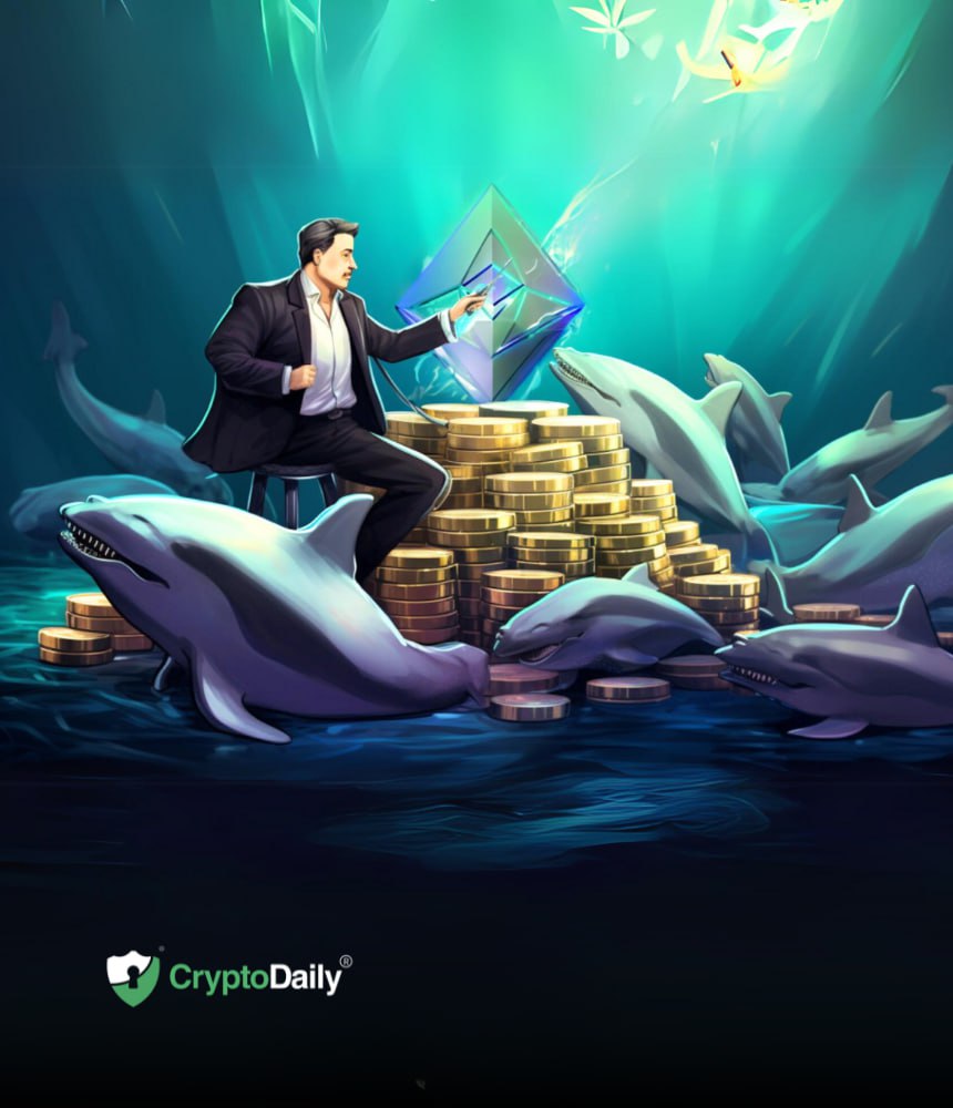 As Whales Make Intriguing Moves, Will Ethereum (ETH) Set New Records This Week?