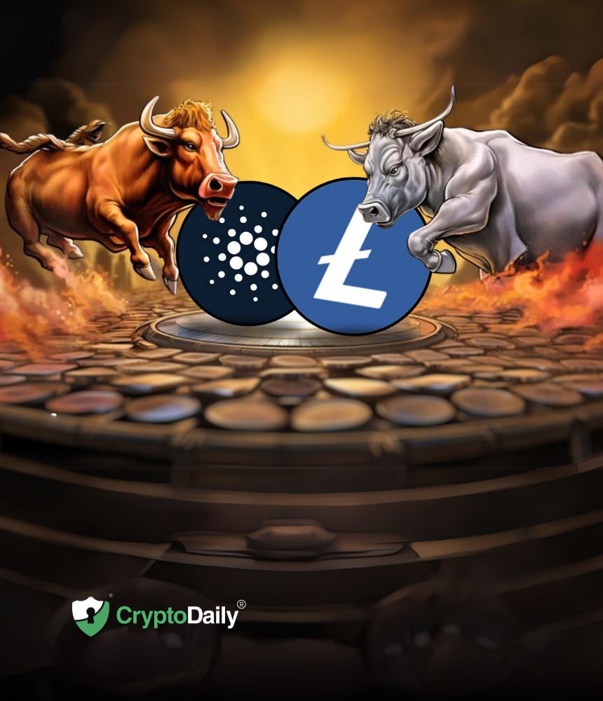 With an Altcoin Bull Run on the Horizon, Cardano (ADA) and Litecoin (LTC) May Jostle for the Top Spot