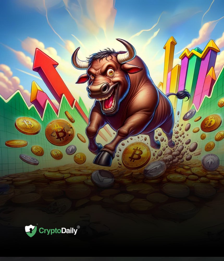 Top Cryptos To Buy Before The Next Bull Run
