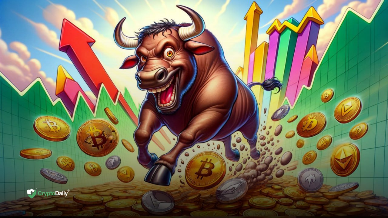 Top Cryptos To Buy Before The Next Bull Run - Crypto Daily