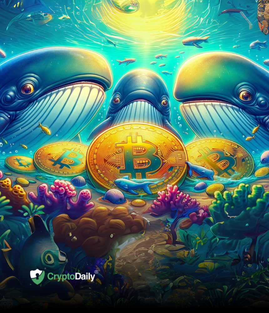 Crypto Whales keeping an eye on these 3 coins