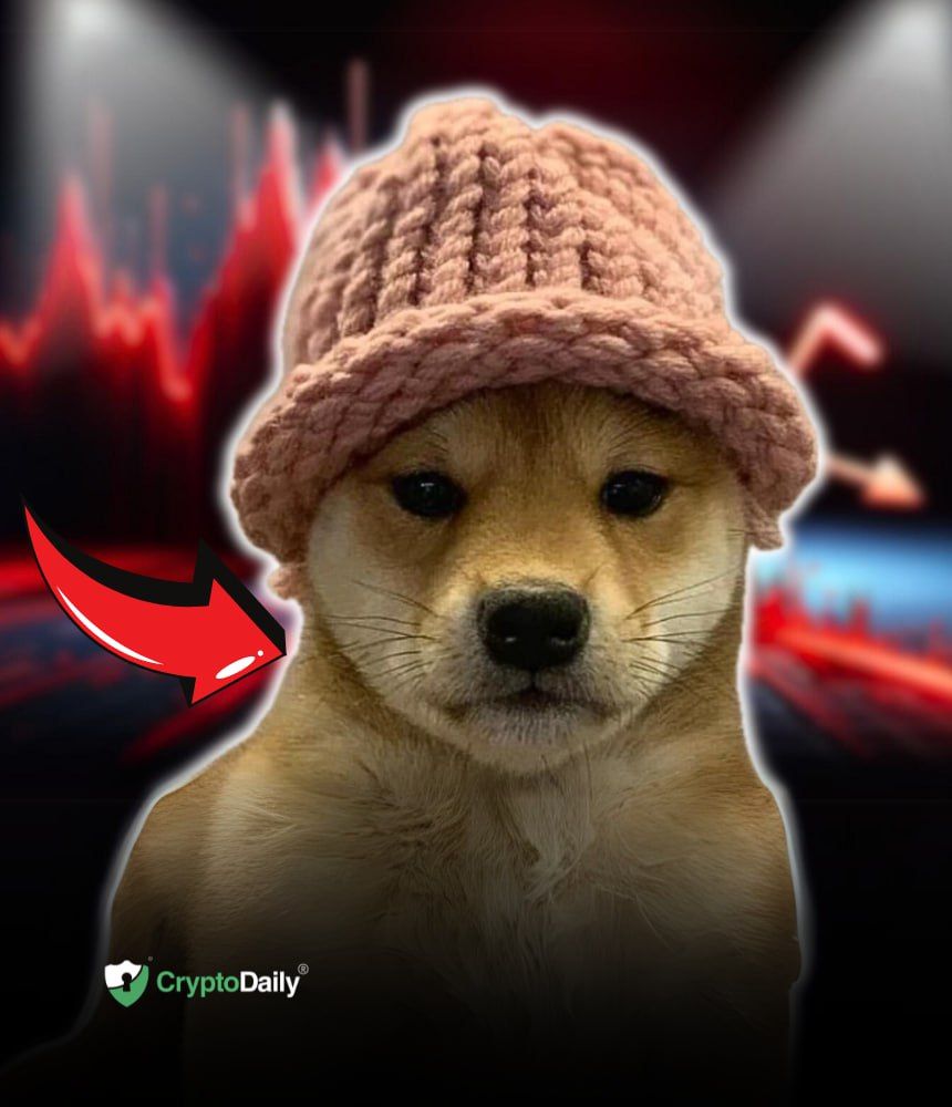 Expert Predicts Dogwifhat Price Could Crash 70%, Sealana Backed to 100x 1 Expert Predicts Dogwifhat Price Could Crash 70%, Sealana Backed to 100x