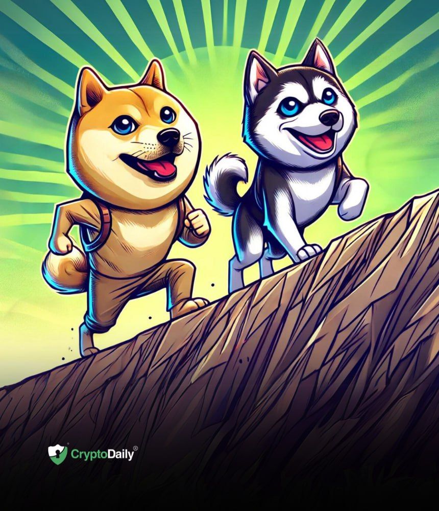 New Highs Coming for Dogecoin (DOGE): 3 Meme Coins to Watch as Crypto's Dog Season Unfolds