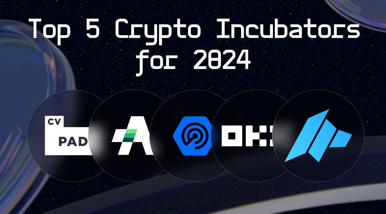 Top 5 Incubators for The 2024 Crypto Bull Run