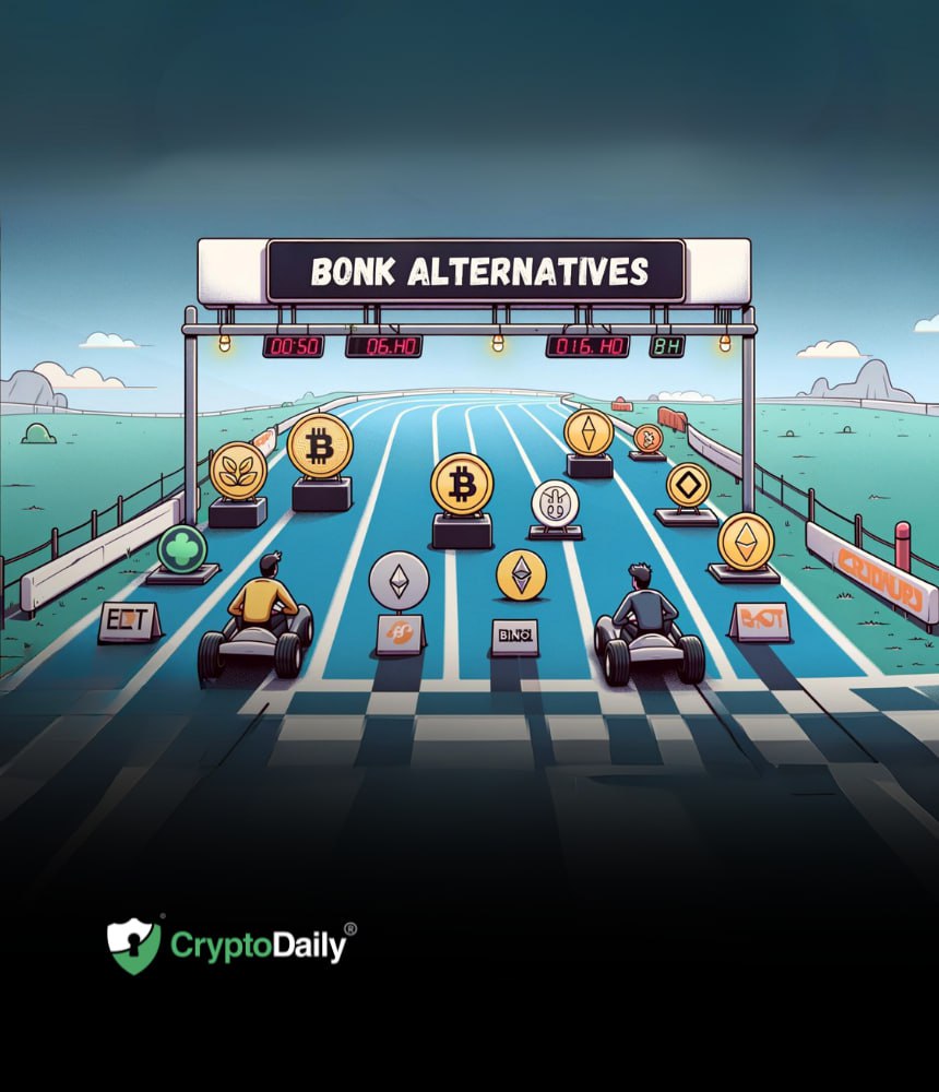 Top Crypto Alternatives Poised to Outshine the Rise of Bonk