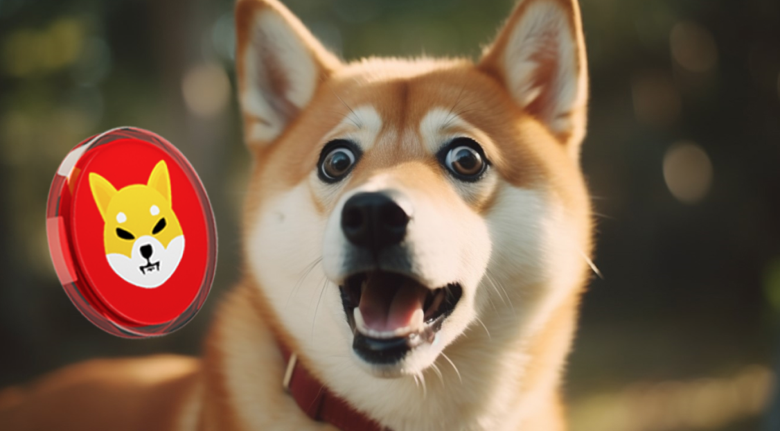 Here’s why this rival token will topple Shiba Inu (SHIB) market cap in 2024