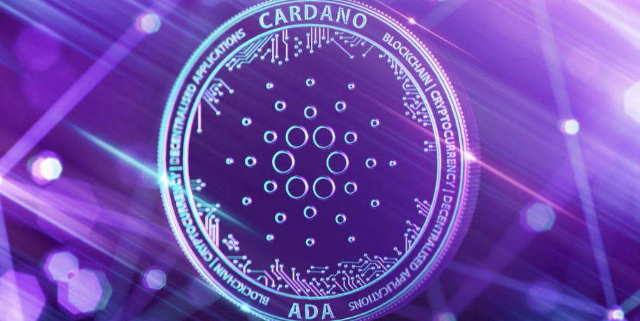 Investors from Optimism (OP) and Cardano (ADA) join the new craze with Pushd (PUSHD) presale