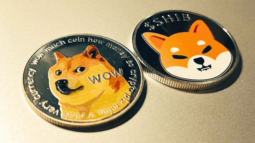 Will Shiba Inu (SHIB) Dogecoin (DOGE) and PEPE (PEPE) be overtaken by newcomer Pushd (PUSHD)