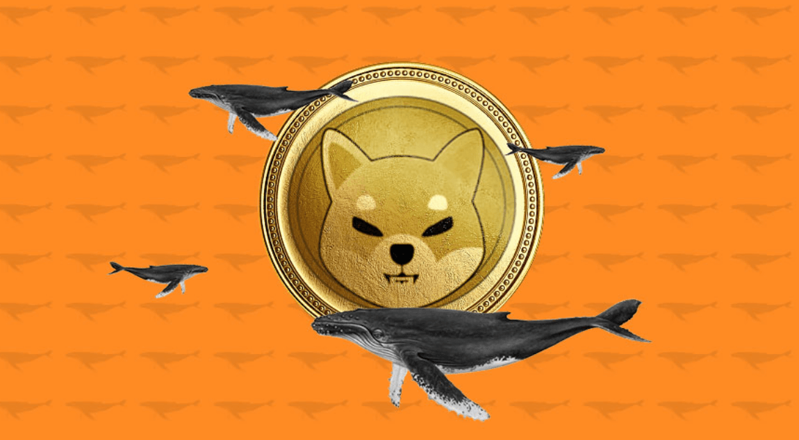 Inactive Shiba Inu (SHIB) Whale Resurfaces, Makes First Move by Purchasing Rival Crypto at $0.008