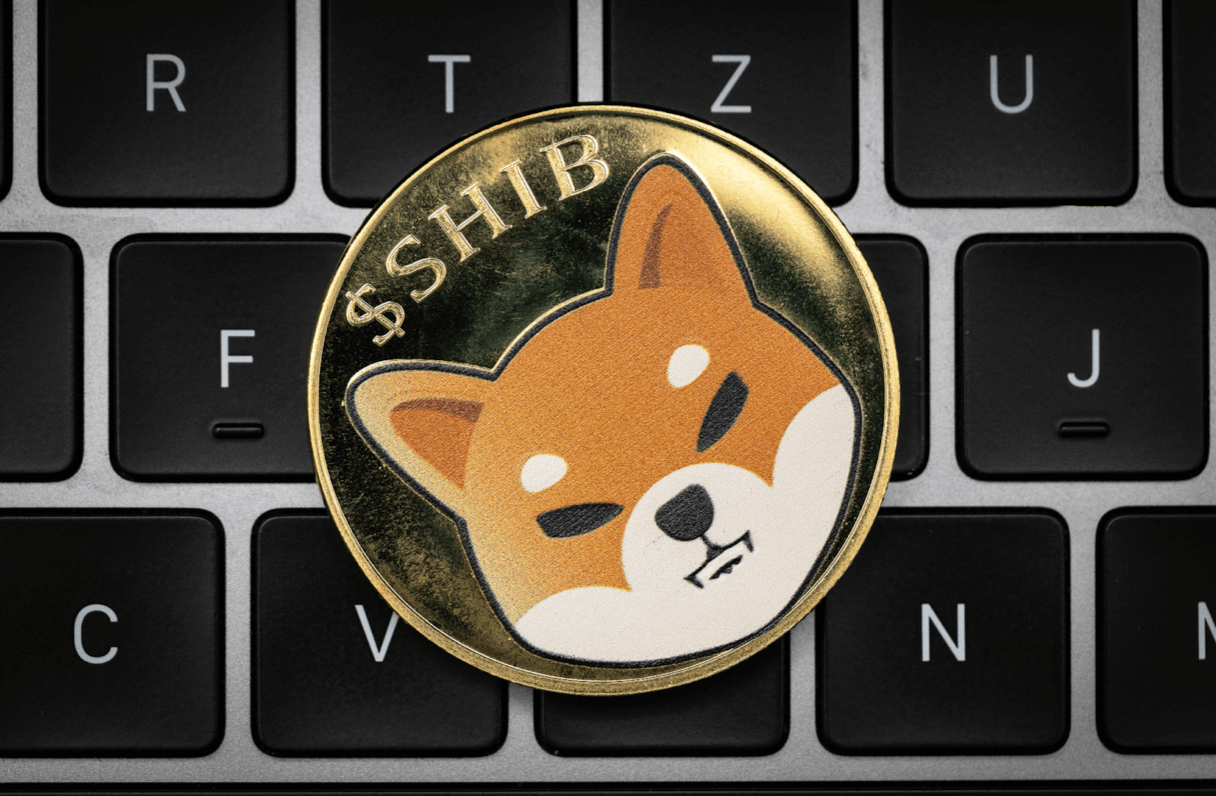Over 6,000 investors go crazy for Pushd (PUSHD) presale over Polygon (MATIC) and Shiba Inu (SHIB)