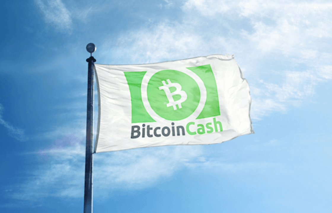 The Rising Star: How Bitcoin Cash (BCH) and Litecoin (LTC) Could Learn from Pushd (PUSHD)