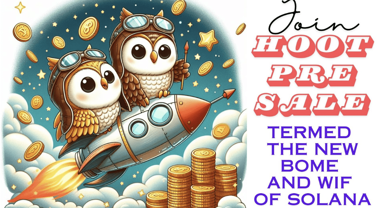 While everyone sent millions to failed pre sale launches hootcool succeeded