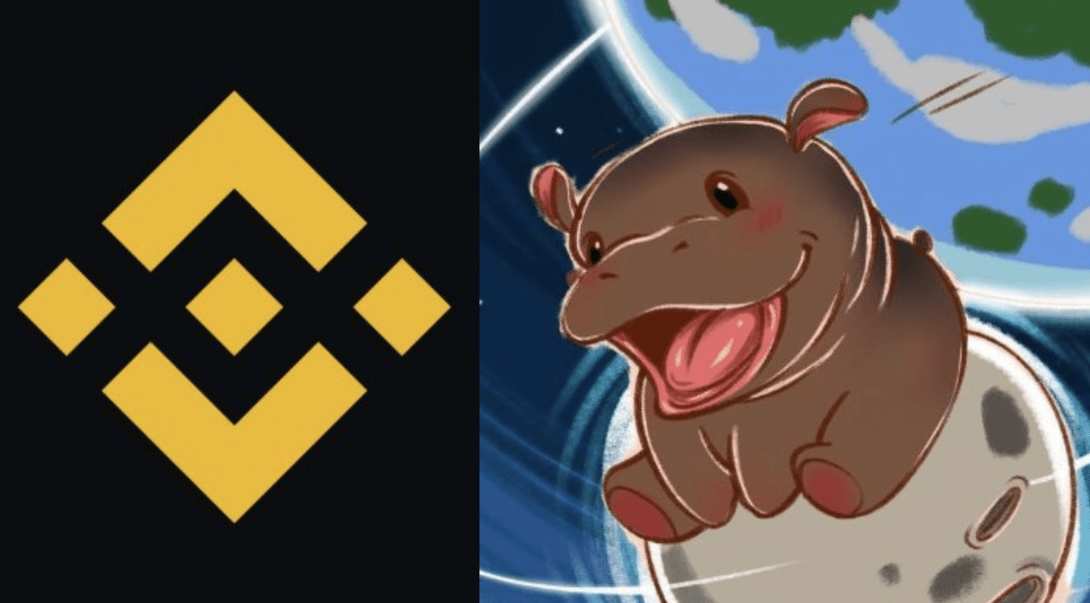 Trader Makes $140k In 20 Minutes After Binance Moo Deng Listing, Is This Meme Coin Next To Explode?