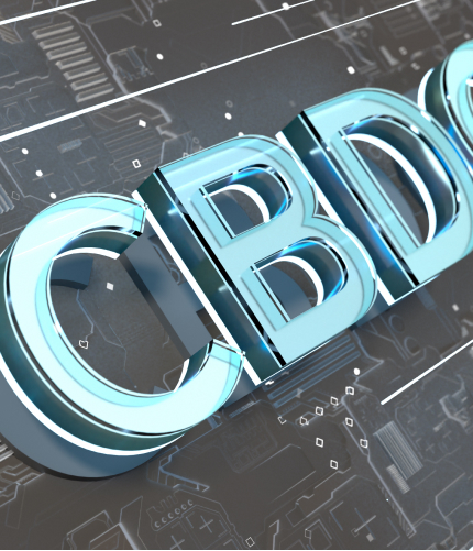 Citibank report touts CBDCs but ignores control concerns