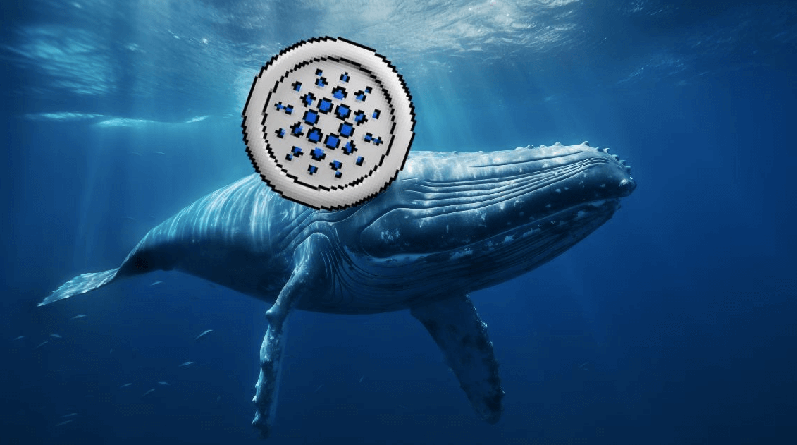 Is This Under-$1 Crypto Set to Dethrone Cardano (ADA)? Why Even ADA Whales Are Betting On It