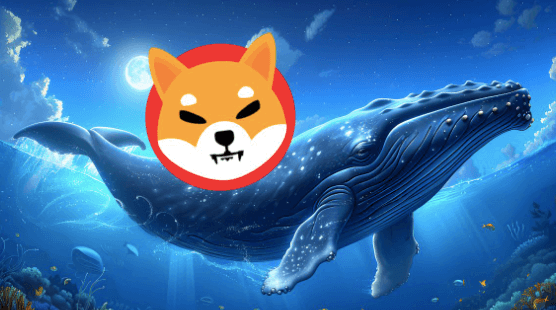 Shiba Inu Sell-Off Hits SHIB Hard as Whales Shift to Viral Sports Memecoin XYZVerse (XYZ) After 15,000% Surge