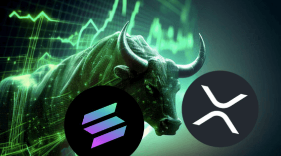 Solana and XRP Fail to Impress as Bull Run Stars—Here’s the Altcoins Set for Explosive Profits in Just 3 Months!