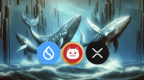 Crypto Whales Quietly Hoard SUI, XRP and CATZILLA — 6,500% Growth Potential on the Horizon!