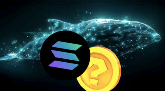 XYZVerse Becomes the New Whale Target as Solana Faces Sell-Off and a 15,000% Surge Is Predicted