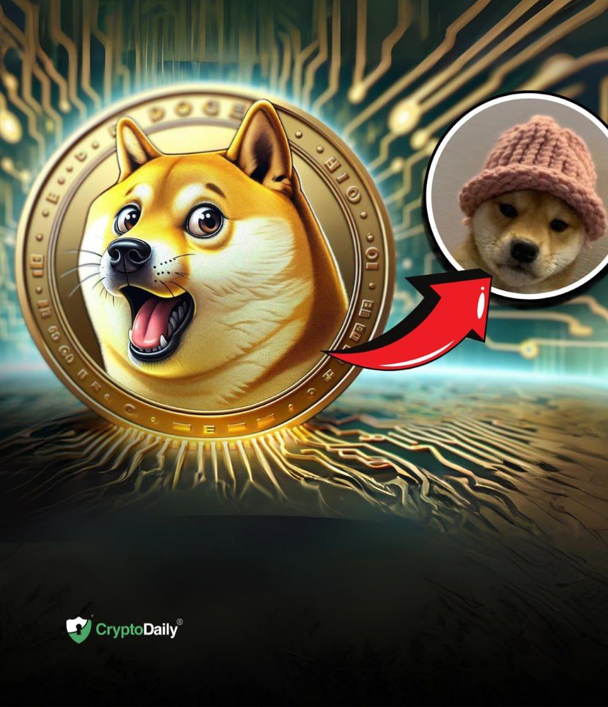 Dog Wif Hat $WIF is the ultimate expression of crypto culture