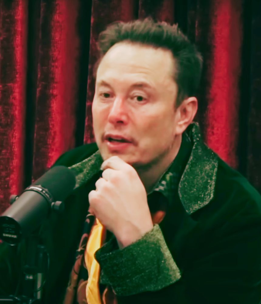 Elon Musk Slams NFTs To The Joy Of BTC Supporters