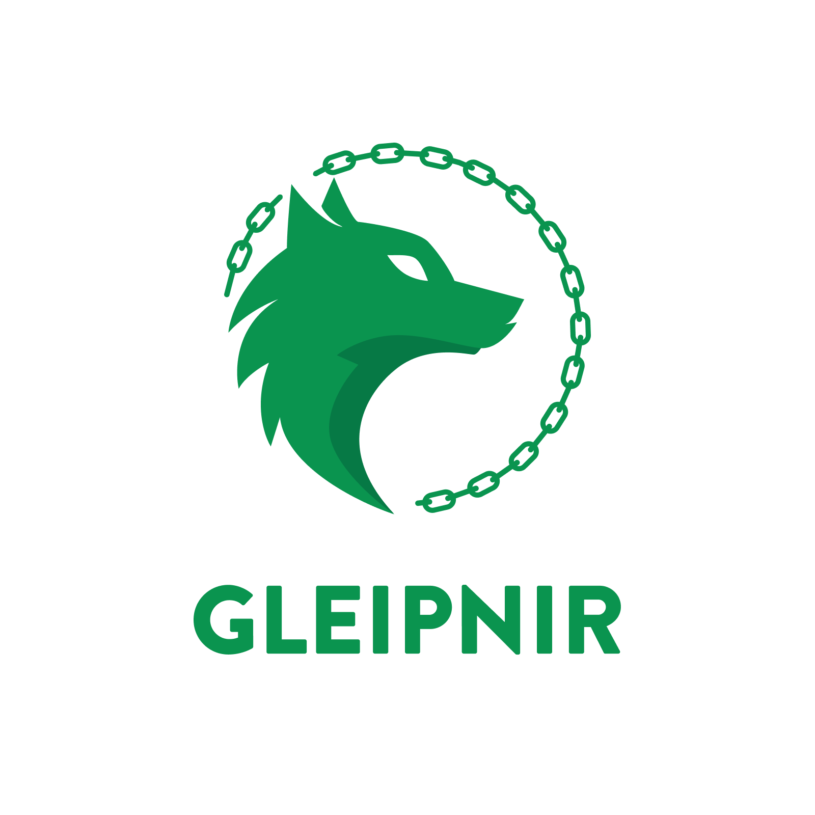 Gleipnir, Inc. Launches Tokenization Strategy to Improve Investment Accessibility