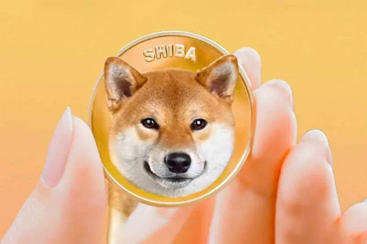 Shiba inu best sale average price