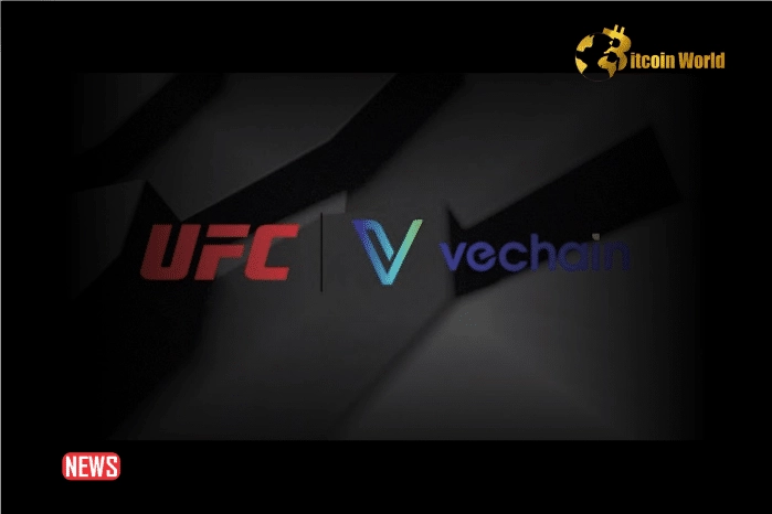 VeChain Teams Up With UFC To Tokenize Fighter Gloves