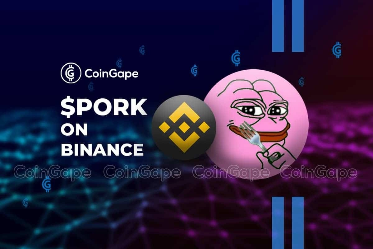 Will Binance List PORK
