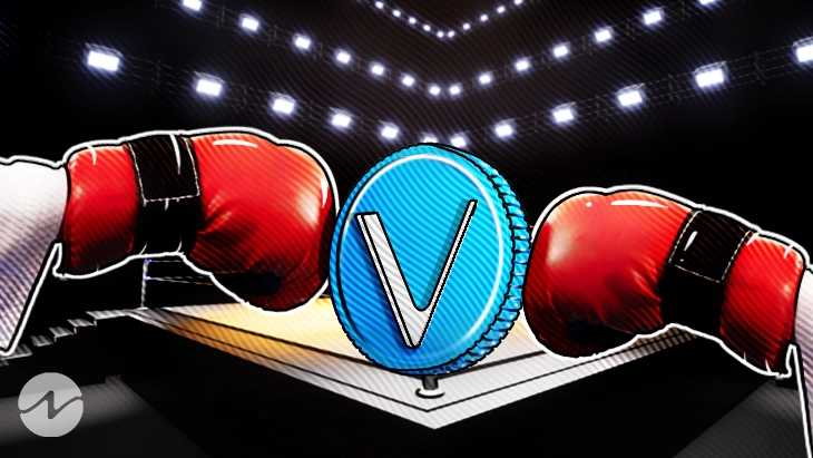 UFC and VeChain Partner to Introduce Tokenized Gloves at UFC 300