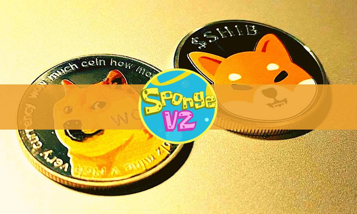 Dogecoin and Shiba Inu Price Outlook for 2024 Can Sponge V2