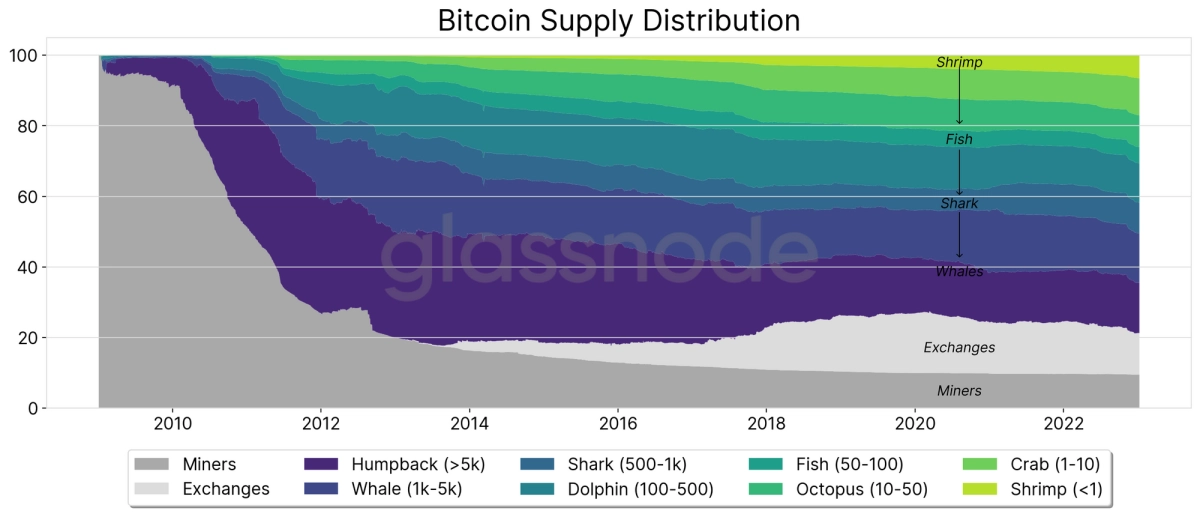 Bitcoin supply distribution