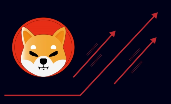 Here’s How This Crypto Investor Made .5 Million With Shiba Inu In Two Months | Bitcoinist.com