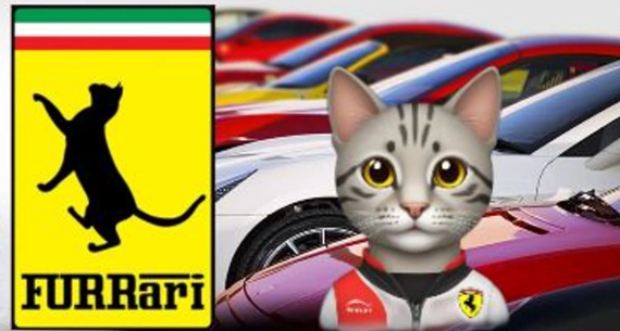 Furrari Coin to Deliver 140x Returns as Cat’s Answer to DOGE, SHIB and ...