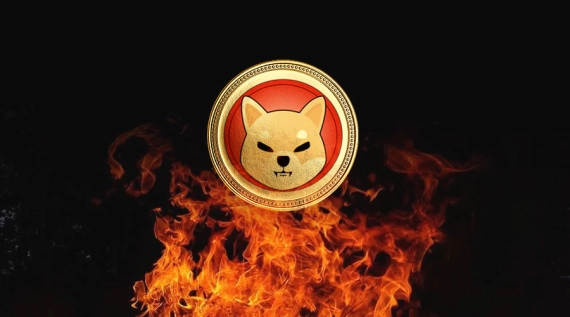 Shiba Inu Team Announces Biggest SHIB Burn Yet Here s How Much