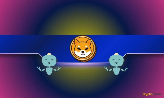 We Questioned ChatGPT if Shiba Inu (SHIB) Can Develop to be a Main 5 Cryptocurrency This Calendar 12 months