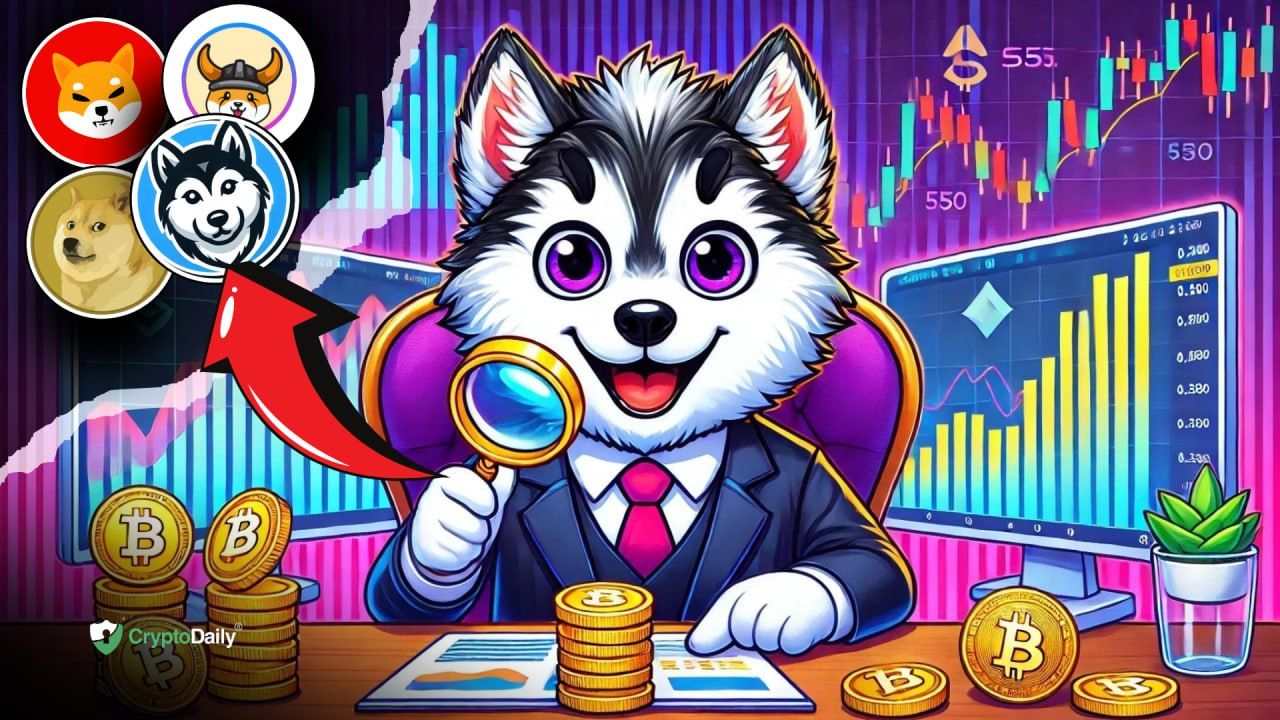 Exciting Memecoins to Watch in 2024: $SHIB, $FLOKI, $DOGE, and $HINU