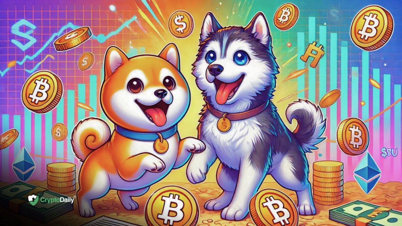 Shiba Inu’s ($SHIB) New Best Friend: Husky Inu ($HINU) - Crypto Daily