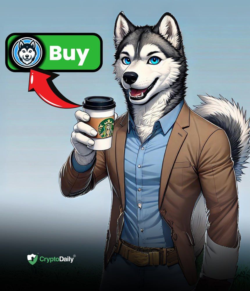 How To Buy Husky Inu ($HINU) Presale Tokens