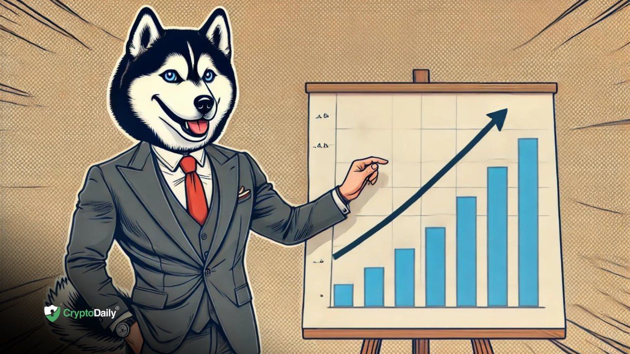 Husky Inu ($HINU) Presale Shows No Signs of Slowing - Crypto Daily