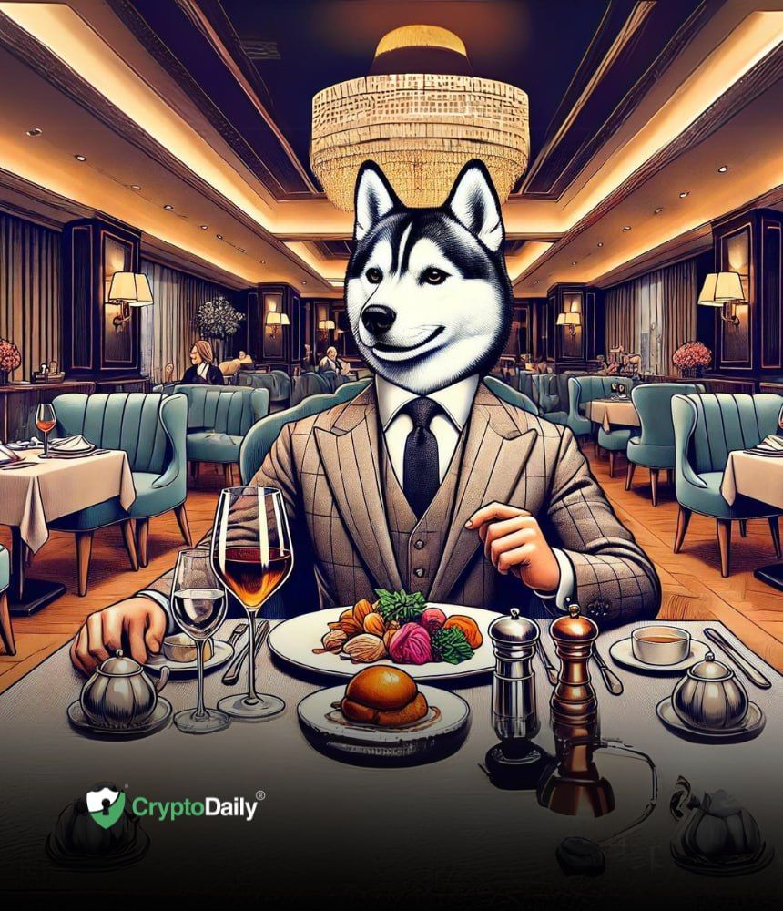 Is Husky Inu ($HINU) The Next Crypto Unicorn?