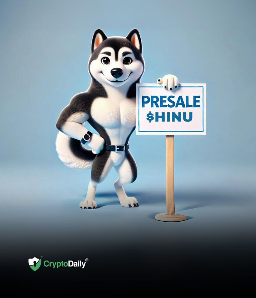 Shiba Inus ($SHIB) Best Friend Husky Inu ($HINU) Exceeds Presale Expectations