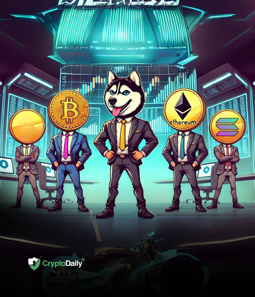 Investors Rush to Husky Inu ($HINU) As Crypto Market Rallies