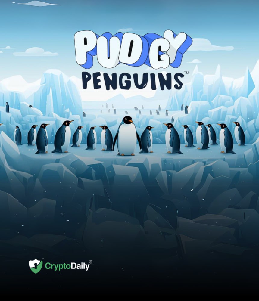 Pudgy Penguins Reveals Details About Upcoming Virtual World