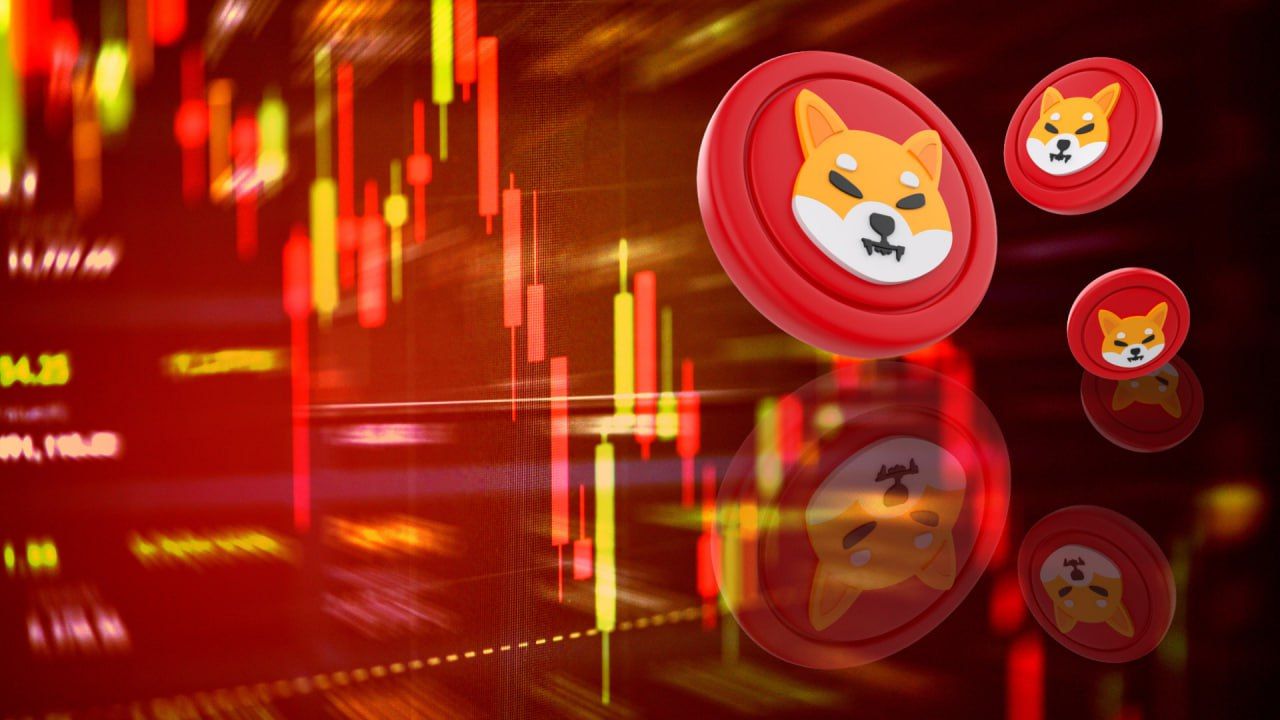 Shiba Inu Trader Says RCOF Will Skyrocket Like the Dogecoin Price in 2021, From $0.03 to $0.75 in 5 Months