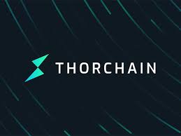 Zig Network's Vision: Attracting VeChain (VET) and Thorchain (RUNE) Investors